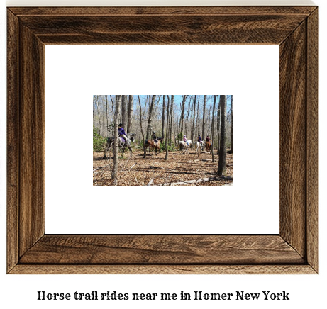 horse trail rides near me in Homer, New York